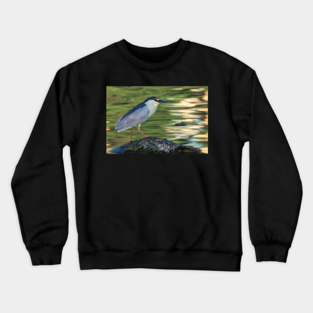 The Heron Portrait Crewneck Sweatshirt by jvnimages